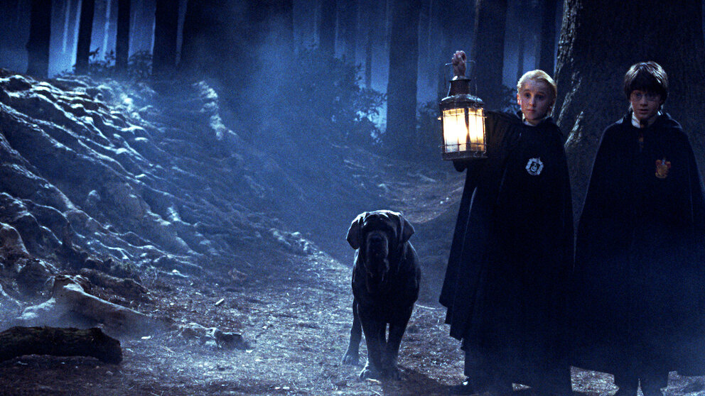 return harry potter series filmyzilla Watch Harry Potter and the Philosopher's Stone Netflix