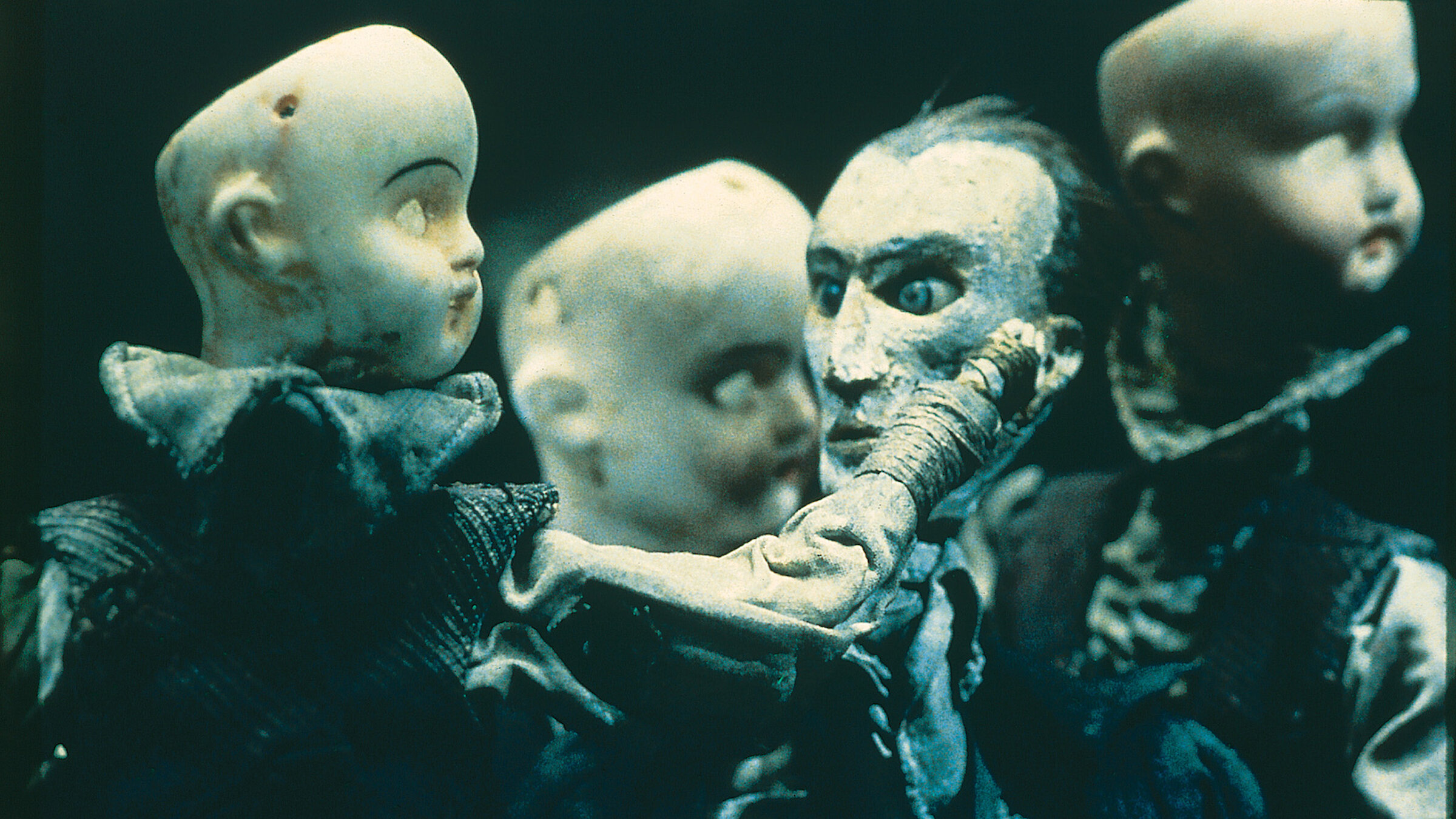 洋画・外国映画 QUAY BROTHERS SHORT FILM COLLECTION 洋画・外国映画 QUAY BROTHERS SHORT FILM COLLECTION The