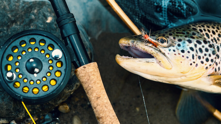 edge fly fishing reel Xplorer Mias Angling & Scuba The Airlite V3 reel combines exceptional performance with a strikingly modern aesthetic XPLORER EDGE