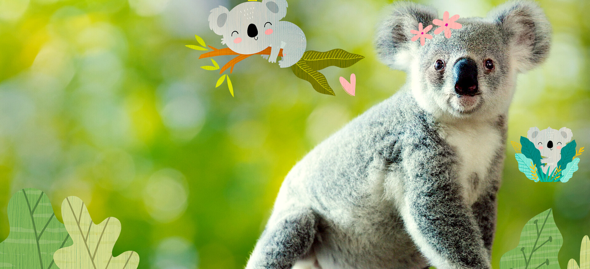 「Koala」A子 お願いします Watch Izzy's Koala World | Netflix Official Site